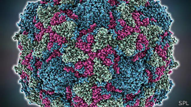 Поліомієліт