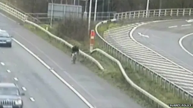 自行车进入高速公路的事件在英国非常罕见 