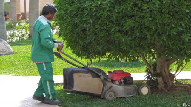 Саудовский садовник