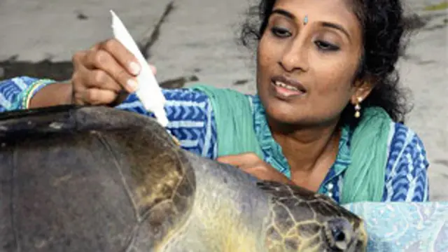 සුප්‍රජා ධරිනි 