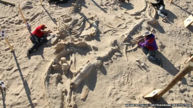 منطقه دشت آتاکاما در شیلی، از مناطق حفاظت شده در این کشور است