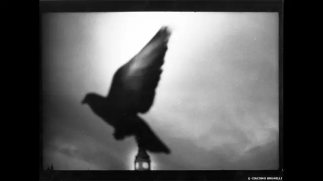 برونیل نے ان تصاویر کے لیے اپنے والد کا دیا ہوا ’میرانڈا سینسومیٹ 35 ایم ایم‘ کیمرا استعمال کیا اور ان میں سے ہر تصویر محدود تعداد میں ہاتھ سے پرنٹ کی گئی ہے۔