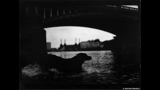 یہ تصاویر فوٹو گرافر نے صبح کی سیر کرتے ہوئے لیں جس کے دوران انہوں نے لوگوں یا دیگر جانداروں کو کسی بھی منظر میں معمول کی حرکات کرتے ہوئے عکس بند کیا۔ 