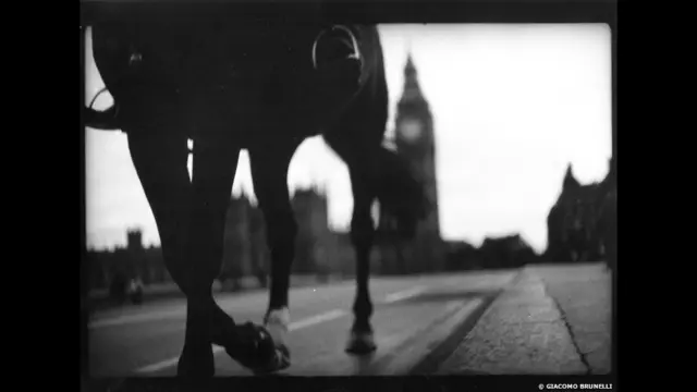 برونیل کا کام ہیوسٹن کے فائن آرٹس عجائب گھر، نیو آرٹ گیلری والسال، یو کے کیوساٹو میوزیم آف فوٹوگرافک آرٹس اور امریکہ کی پورٹ لینڈ آرٹ میوزیم میں رکھا گیا ہے۔