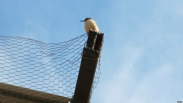 عکس از بابک