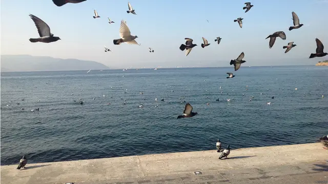 عکس از حسین