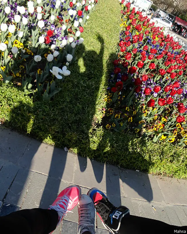 عکس از مهسا