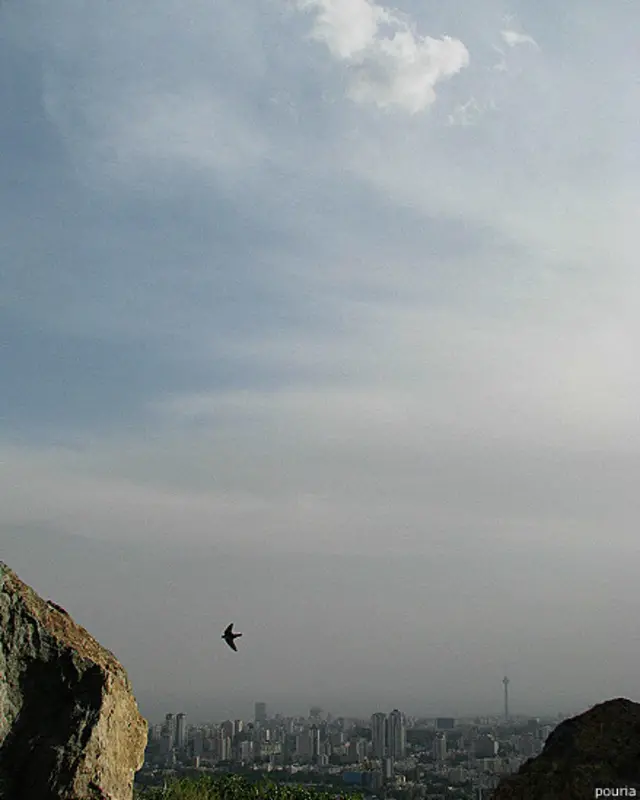 عکس: پوریا از تهران. او در توضیح این عکس بخشی از یک شعر احمد شاملو را نوشته است: "تمامی الفاظ جهان را در اختيار داشتيم و آن نگفتيم که به کار آيد، چراکه تنها يک سخن، يک سخن در ميانه نبود: آزادی ما نگفتيم تو تصويرش کن!" 