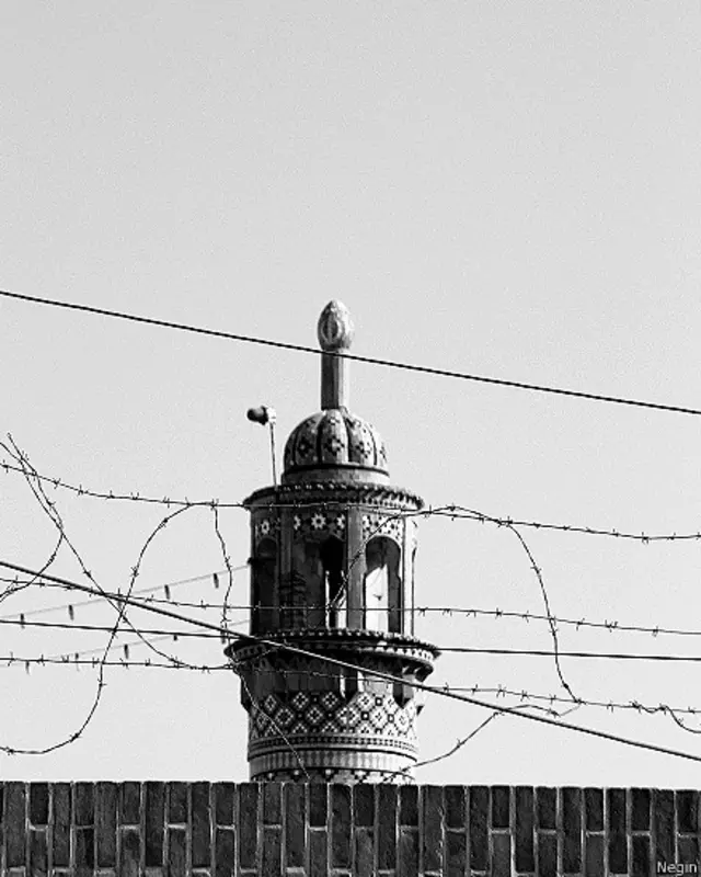 عکس از نگین