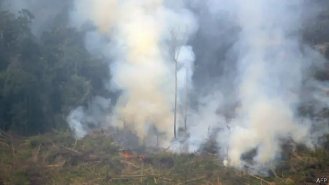 Pemerintah didorong untuk menerbitkan peta konsesi lahan.