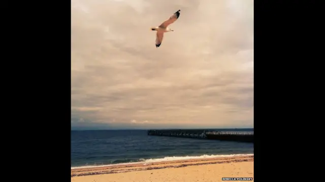 یہ تصویر ریبیکا پولنسکی کو مصنف رچرڈ باخ کی لکھی ہوئی ان کی پسندیدہ کتاب ’جوناتھن لیونگسٹن سیگل‘ کی یاد دلاتی ہے۔ ریبیکا پولنسکی نے یہ تصویر امریکہ کے شہر نیویارک میں کھینچی۔ یہ ایک بگلے کی کہانی ہے جو اڑنے اور زندگی کے بارے میں سیکھتا ہے۔