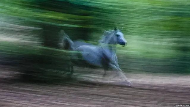 سیسیلیا فاٹون کا کہنا ہے کہ ہر شخص کی آزادی کے بارے میں اپنی رائے ہے۔ انھوں نے کہا کہ ’کچھ لوگ کوہ پیمائی کرتے ہیں، کچھ افراد کے لیے یہ تیرنے کی طرح ہے جب کہ کچھ کے لیے بیس جمپنگ ہے۔ سیسیلیا فاٹون نے یہ تصویر اٹلی میں کھینچی۔