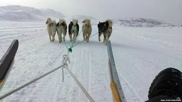کارل پیٹر نے کتوں کی برف پر ہونے والی اس ریس کی یہ تصویر گرین لینڈ سے بھیجی۔ کارل پیٹر کا کہنا ہے کہ وہ اپنے کتوں کے ساتھ اکیلے تھے اور صرف برف کی آواز تھی۔