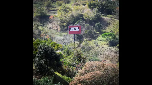Imagen ojos de Hugo Chávez 