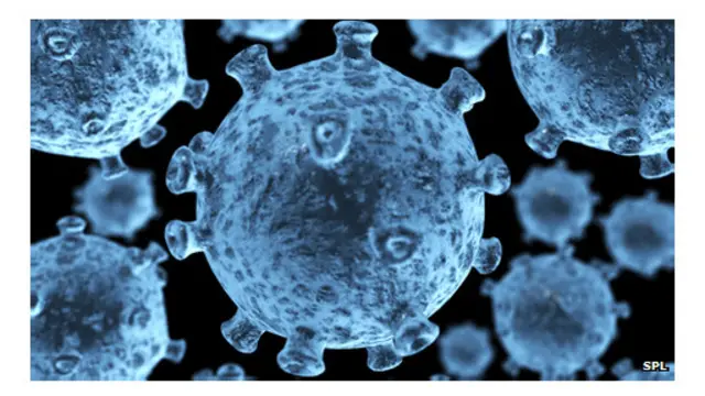 تصویری از سلولهای اچآیوی/ایدز