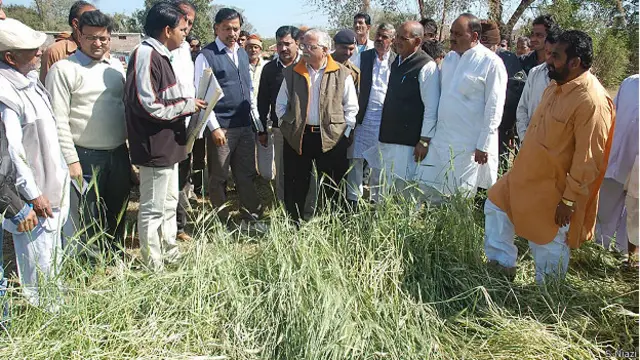 मध्य प्रदेश में फसलों को पहुँचा नुकसान