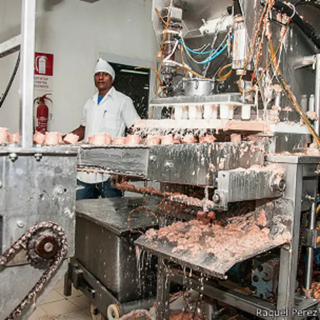 Por mucho que le pese a los directivos de la empresa pesquera PRODAL hacen falta reformas higiénicas en los procesos de producción.