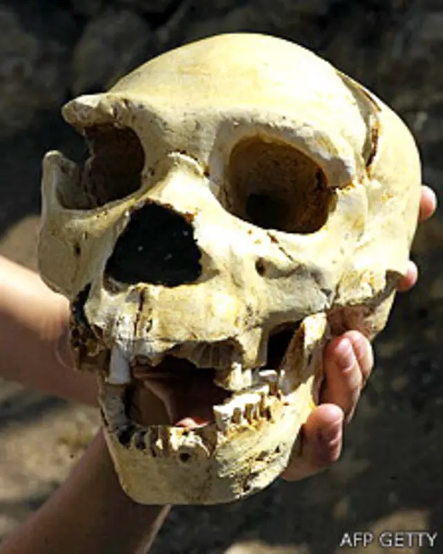 Cráneo de Homo heidelbergensis de 400.000 años