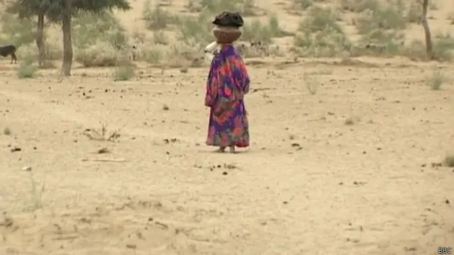 صحرائی علاقے تھر کو شدید قحط سالی کا سامنا ہے