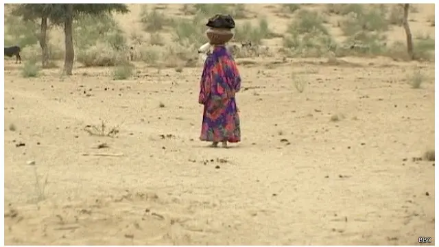 تھر میں بارشیں نہ ہونے سے پانی اور خوراک کا بحران شدت اختیار کر گیا