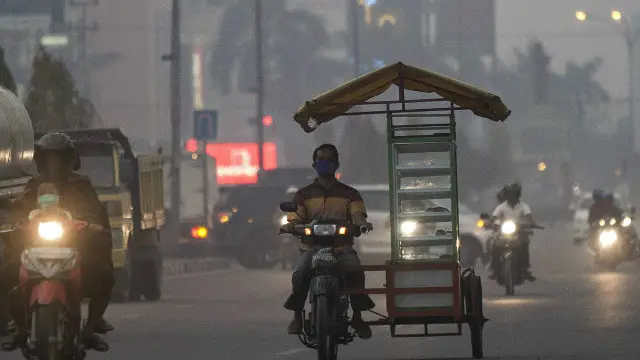 Menurut BNPB, asap sempat menutup wilayah Pekanbaru, Dumai, Pelalawan dan Rengat, dengan jarak pandang antara satu dan tiga kilometer.