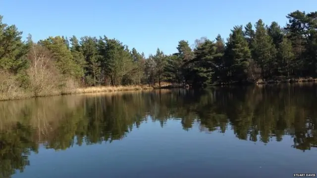 在英國南部的薩利郡（Surrey），藍藍的天上沒有一絲雲，湖水中可看到森林的倒影。