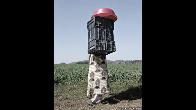 "الأرض" هو أحدث أعمال المصورة الشهيرة، جاكي نيكرسون. ويهدف المشروع إلى تسليط الضوء على قضايا الغذاء والعمل.