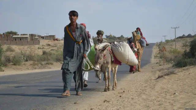 قحط سالی لوگوں کو اپنا دیس چھوڑنے پر مجبور کردی ہے اور ان کی منزل بیراجی علاقے ہوتے ہیں، جہاں وہ مزدوری کرتے ہیں اور واپسی کے لیےبارش کے منتظر ہوتے ہیں۔