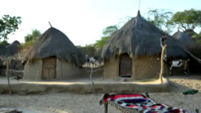 تھرپارکر میں قحط سالی کے حوالے سے صوبائی حکومت کی جانب سے مجرمانہ غفلت کا اعتراف کیا گیا