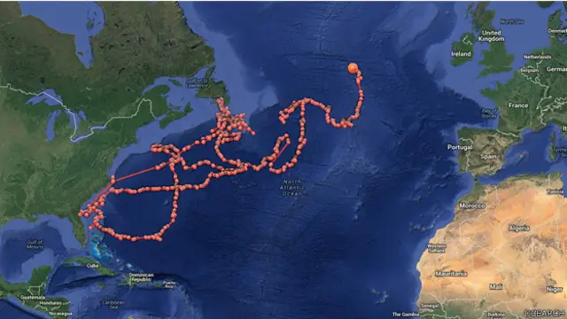 Mapa de Ocearch con el recorrido del tiburón Lydia