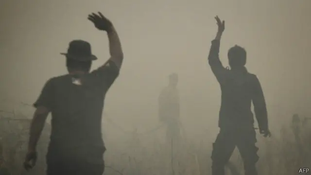 Sejumlah laporan menyebutkan, Badan penanggulangan bencana daerah (BNPD) Riau mencatat, sebanyak 1.264,75 Ha lebih hutan dan lahan di Riau telah terbakar.