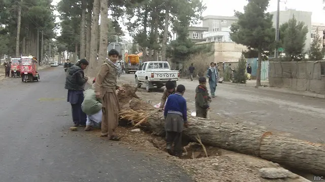 د هرات توپان