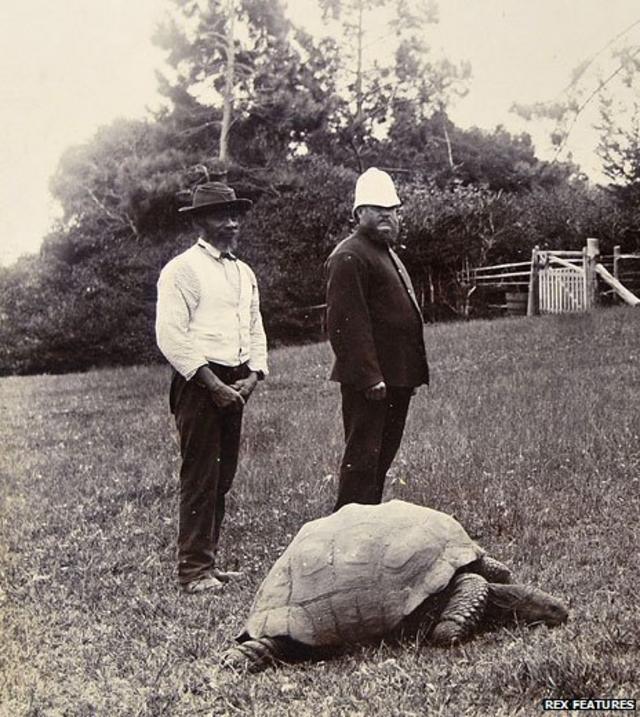 Jonathan en 1900