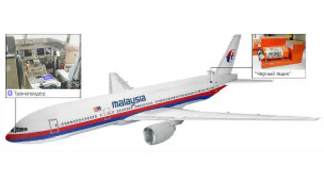 په ورکه شوې الوتکه کې ۲۳۹ کسه سپاره دي، چې شاوخوا نیمايي يې چينايان دي