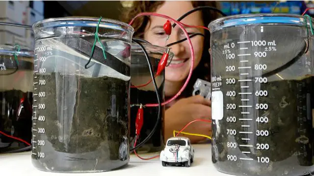 Energía de la orina