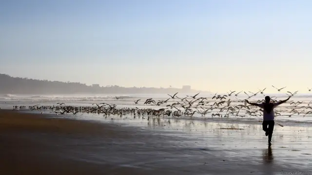 Furkan Kavasoglu: Kuşlar gibi özgür olmak istedim... Black's Beach, California