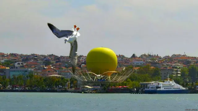 Hilmi Ayhan: Ey özgürlük!...