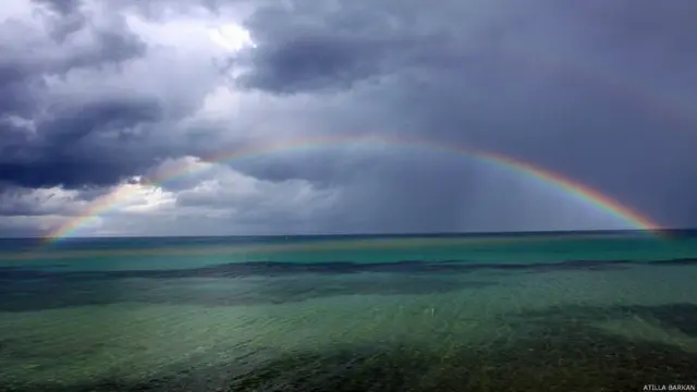 Atilla Barkan: Özgürlük bedel ister bazen, bazen bir gökkuşağıdır, bazen başı sonu belli olmayan bir mavi...