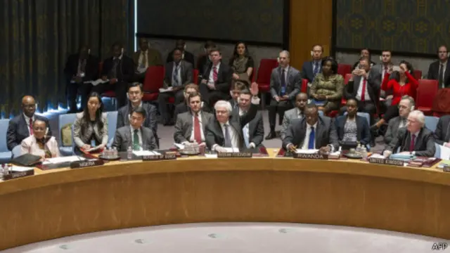 俄国常驻联合国代表丘尔金投否决票