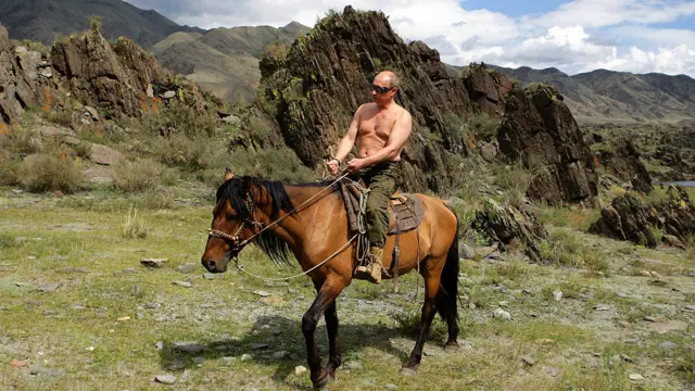 व्लादीमिर पुतिन