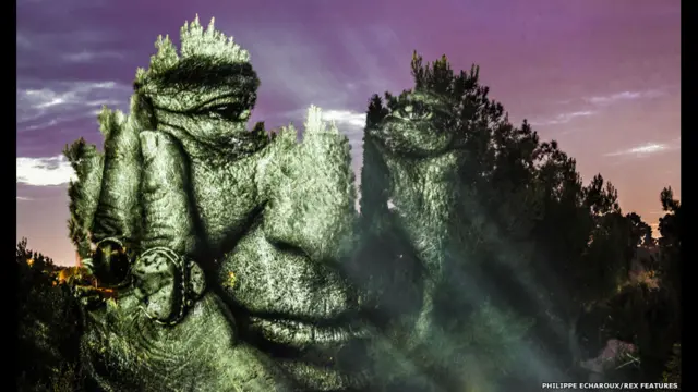 Munidojetx esporte da sorteum projetor, um computador e um gerador portátil, francês Philippe Echaroux projeta retratosjetx esporte da sorteárvores, edifícios, armazéns e pedras  