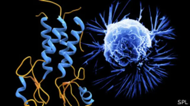 Representación gráfica de la mutación BRAC1