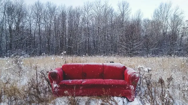 Andrew Knapp viaja com border collie e tem mais de 140 mil seguidores no Instagram