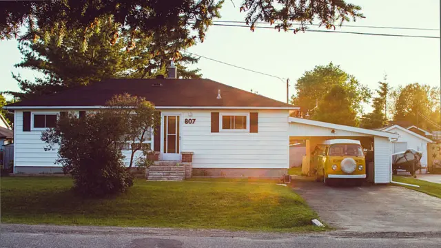 Andrew Knapp viaja com border collie e tem mais de 140 mil seguidores no Instagram