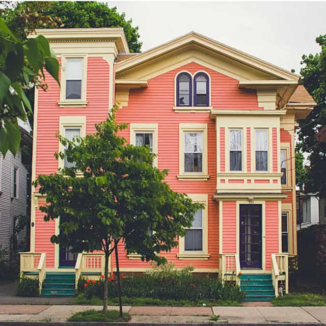 Andrew Knapp viaja com border collie e tem mais de 140 mil seguidores no Instagram