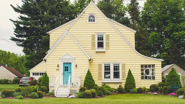 Andrew Knapp viaja com border collie e tem mais de 140 mil seguidores no Instagram