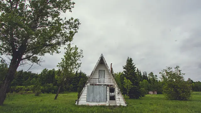 Andrew Knapp viaja com border collie e tem mais de 140 mil seguidores no Instagram