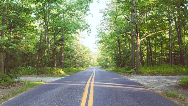 Andrew Knapp viaja com border collie e tem mais de 140 mil seguidores no Instagram