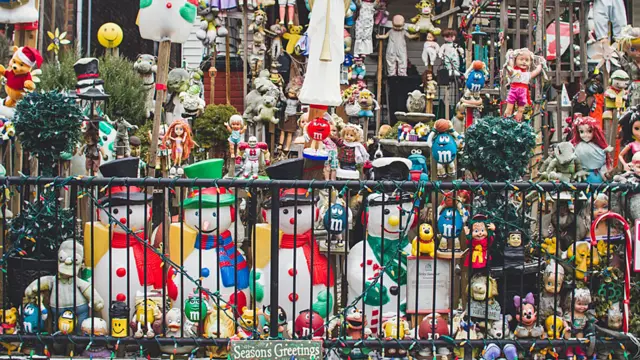 Andrew Knapp viaja com border collie e tem mais de 140 mil seguidores no Instagram