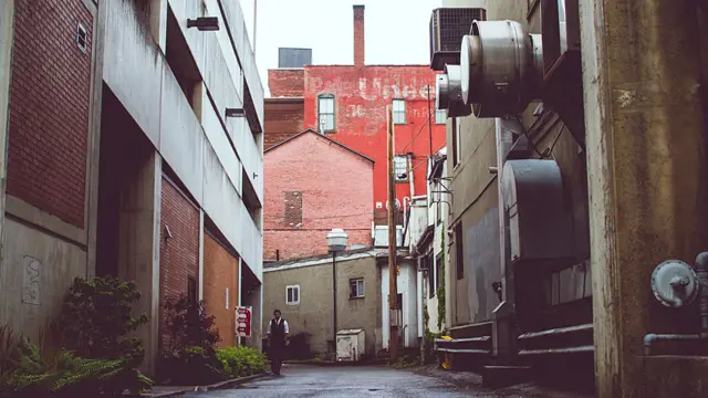 Andrew Knapp viaja com border collie e tem mais de 140 mil seguidores no Instagram